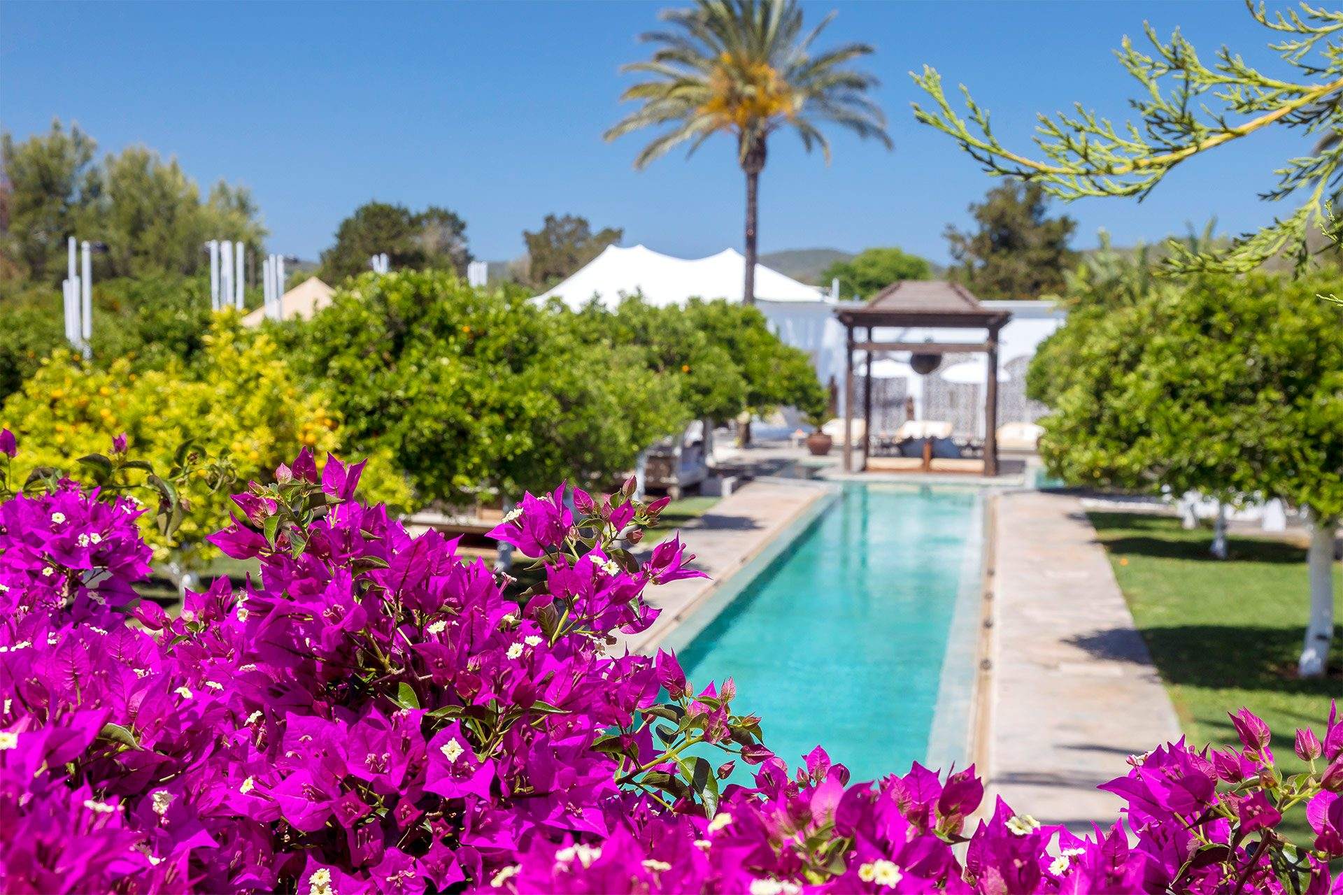 atzaro-agroturismo-best-ibiza-luxury-hotel