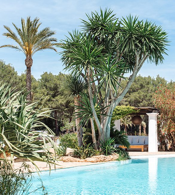 atzaro-agroturismo-ibiza-luxury-hotel-1-square